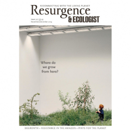 November/December 2019