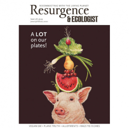 January/February 2020