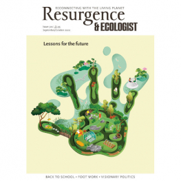 September/October 2020