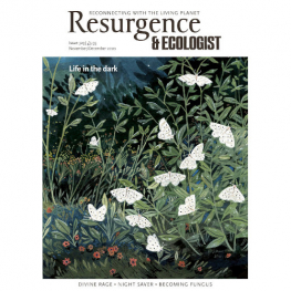 November/December 2020