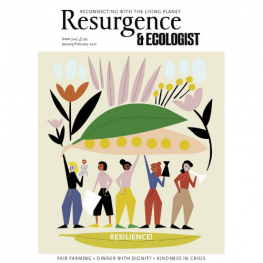 January/February 2021