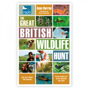 The Great British Wildlife Hunt The Great British Wildlife Hunt