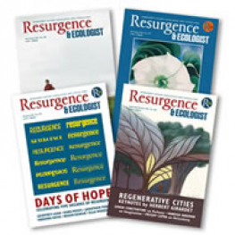 15 copy lucky dip bundle of Resurgence & Ecologist